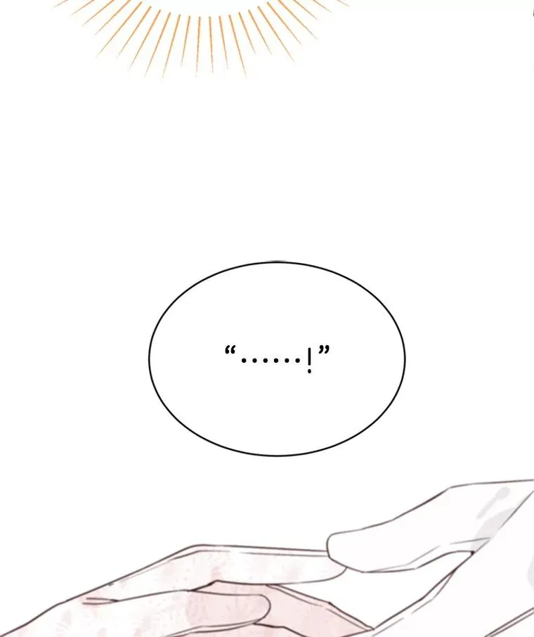 22.修改条约 第81页