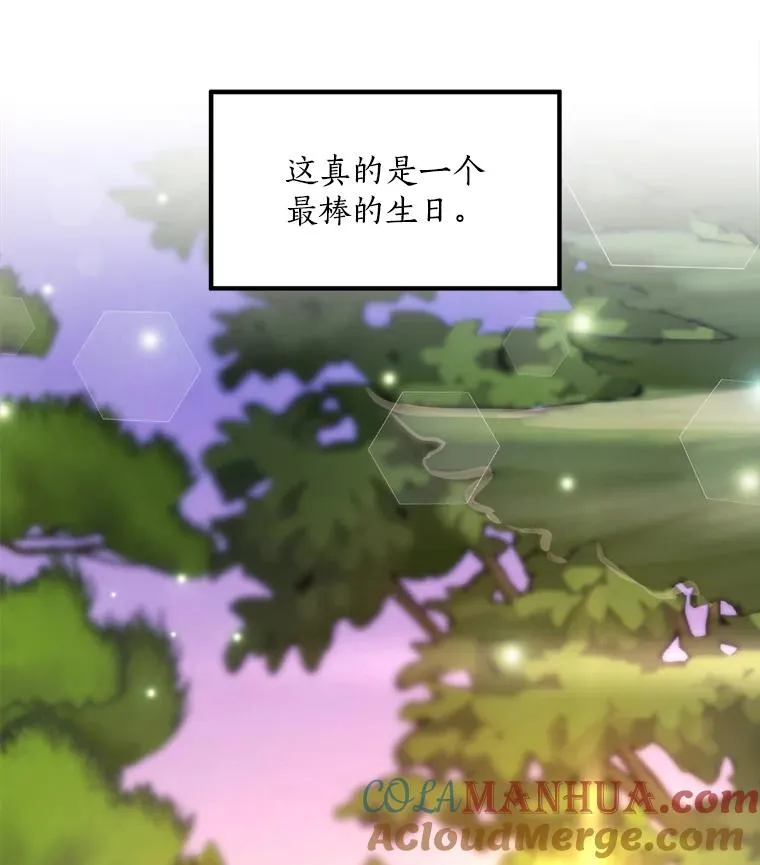 85.以宸的生日 第113页