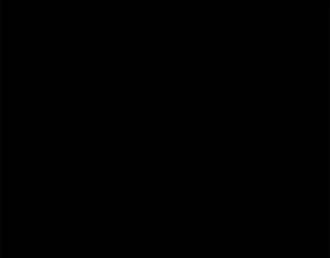 第14话 宣誓主权 第11页