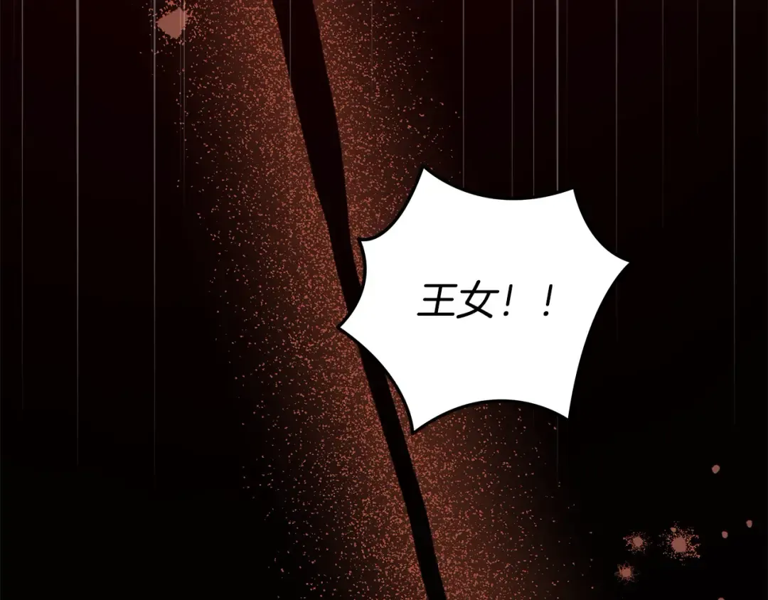 第23话 王女晕倒了 第93页