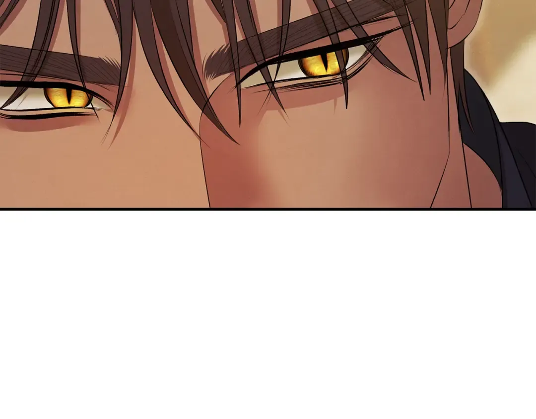 第35话 强强联合 第103页