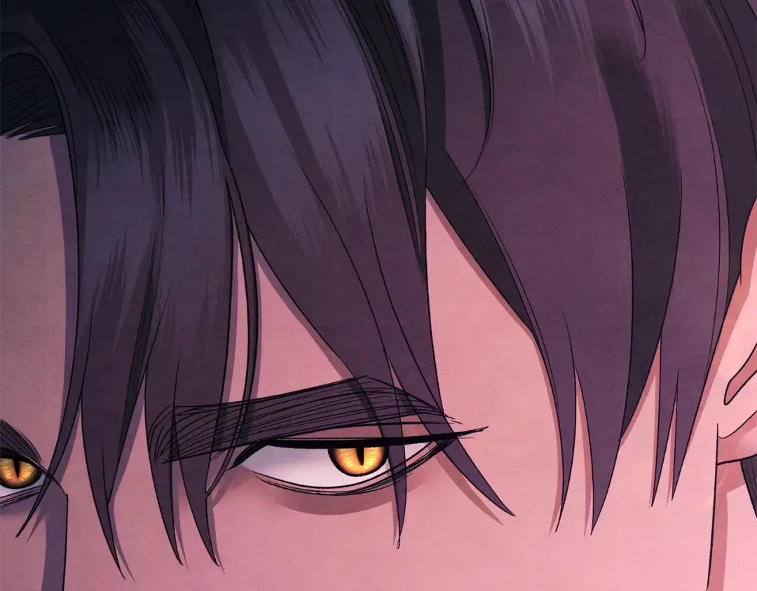 第51话 王妃的玩偶 第214页