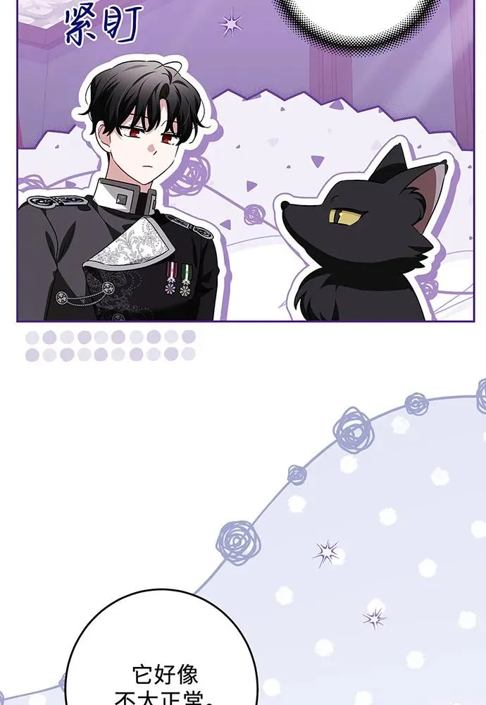 第39话 第72页