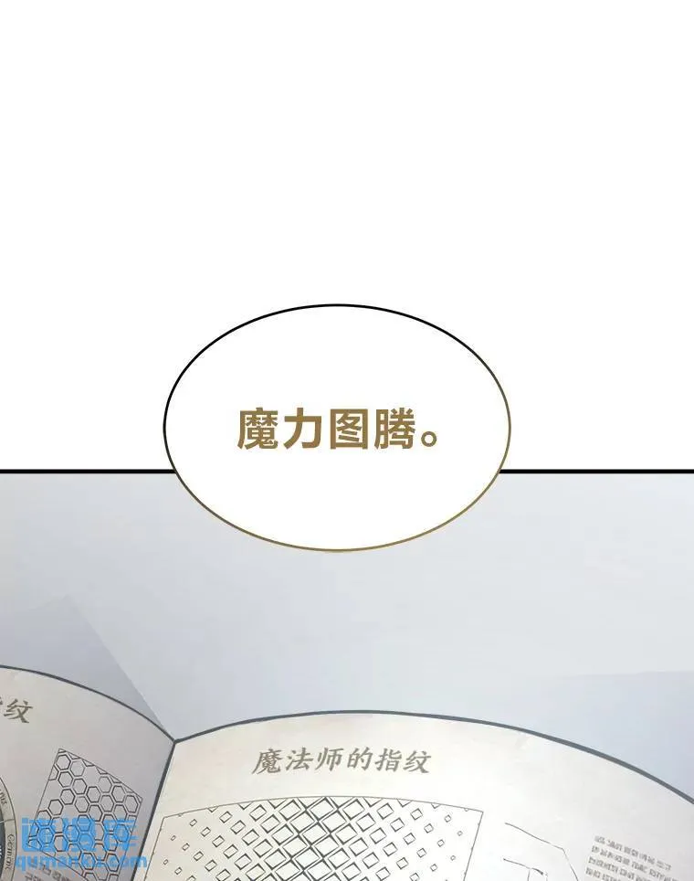 7.魔力图腾 第45页