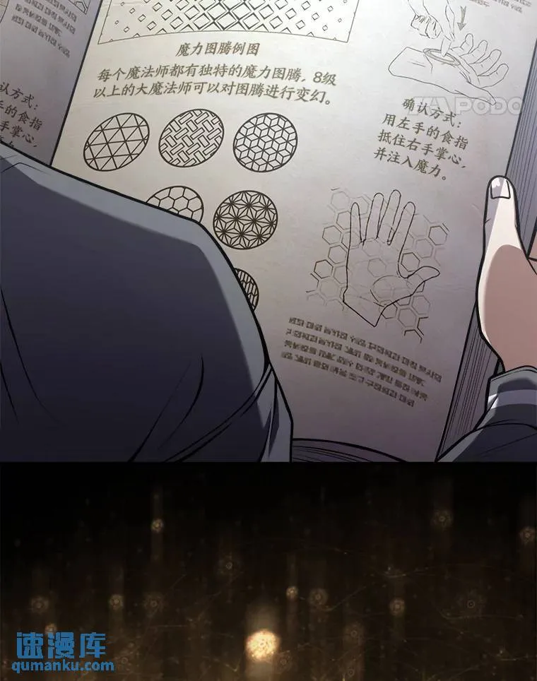 7.魔力图腾 第46页