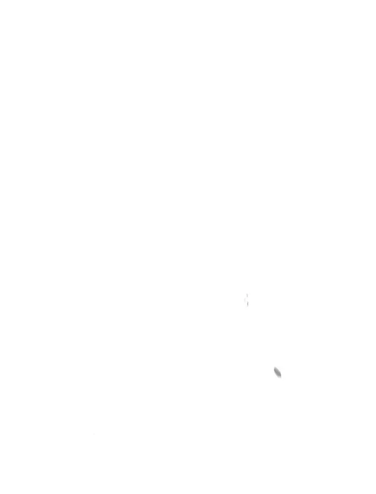 27.凶邪狩猎 第113页
