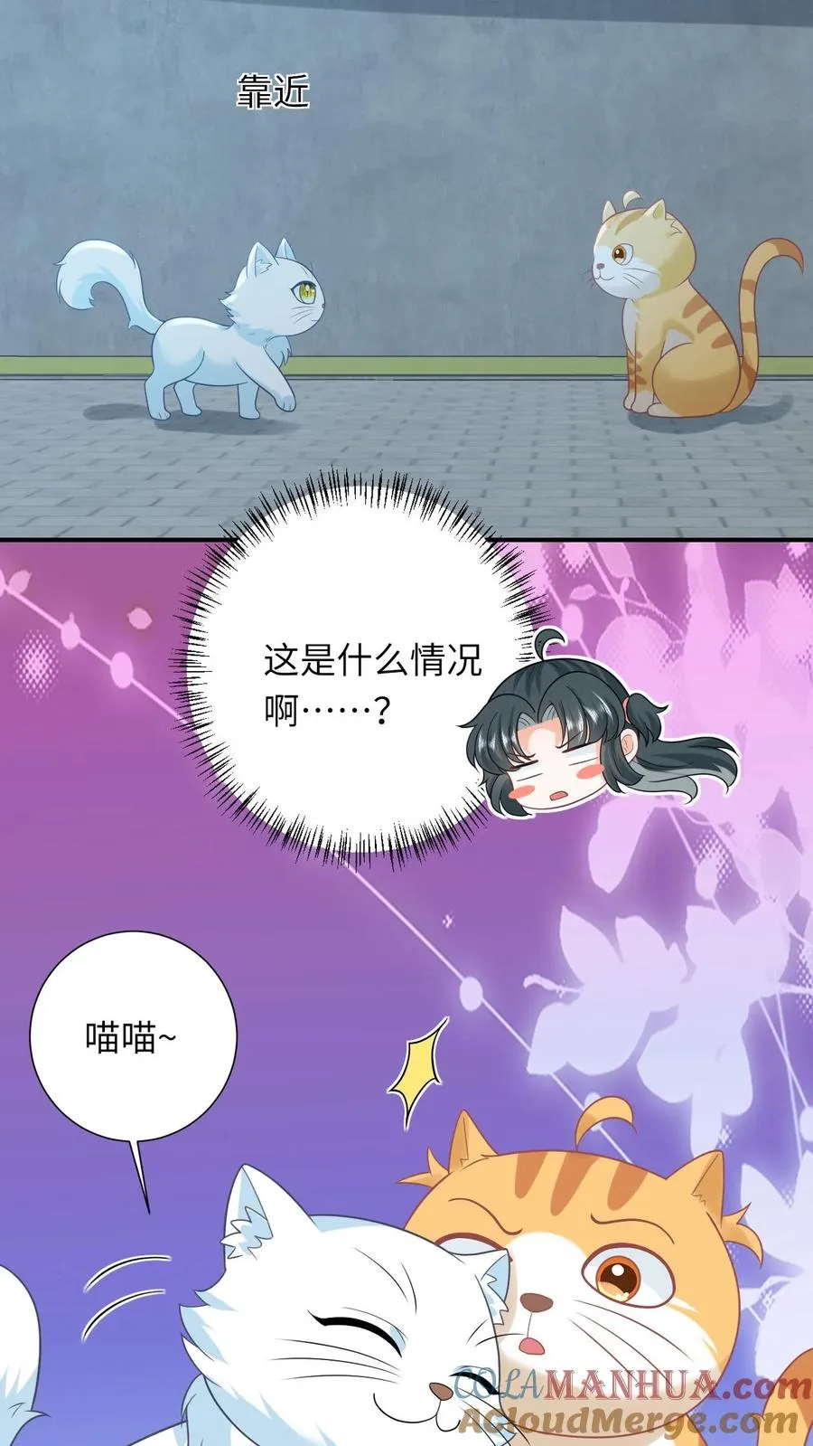 第113话 脱离掌控的大橘 第7页