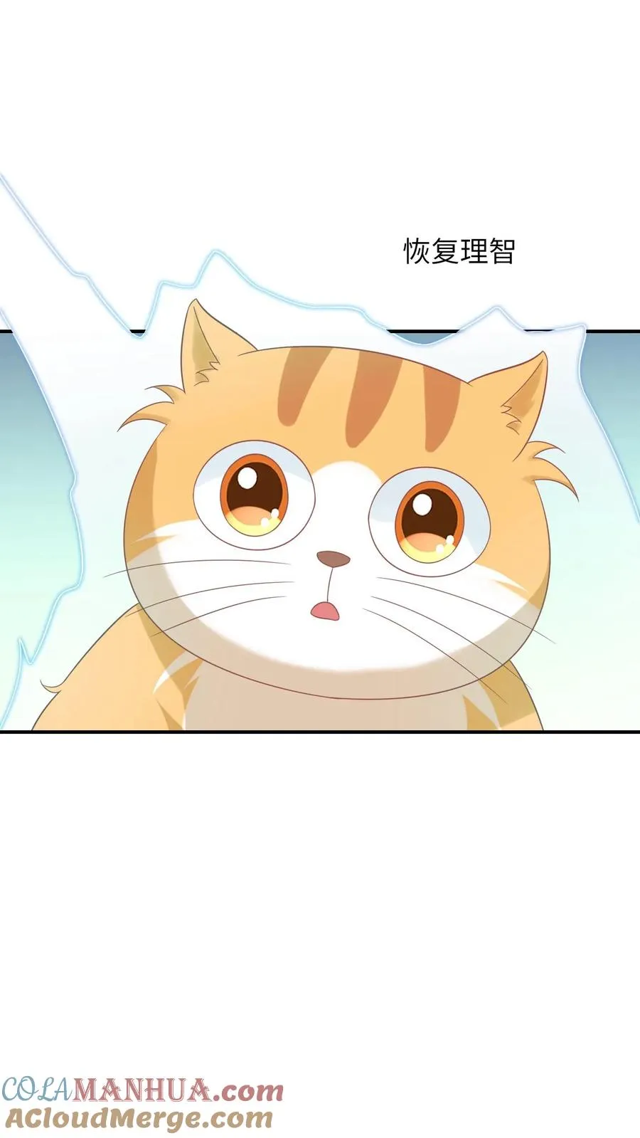第113话 脱离掌控的大橘 第13页