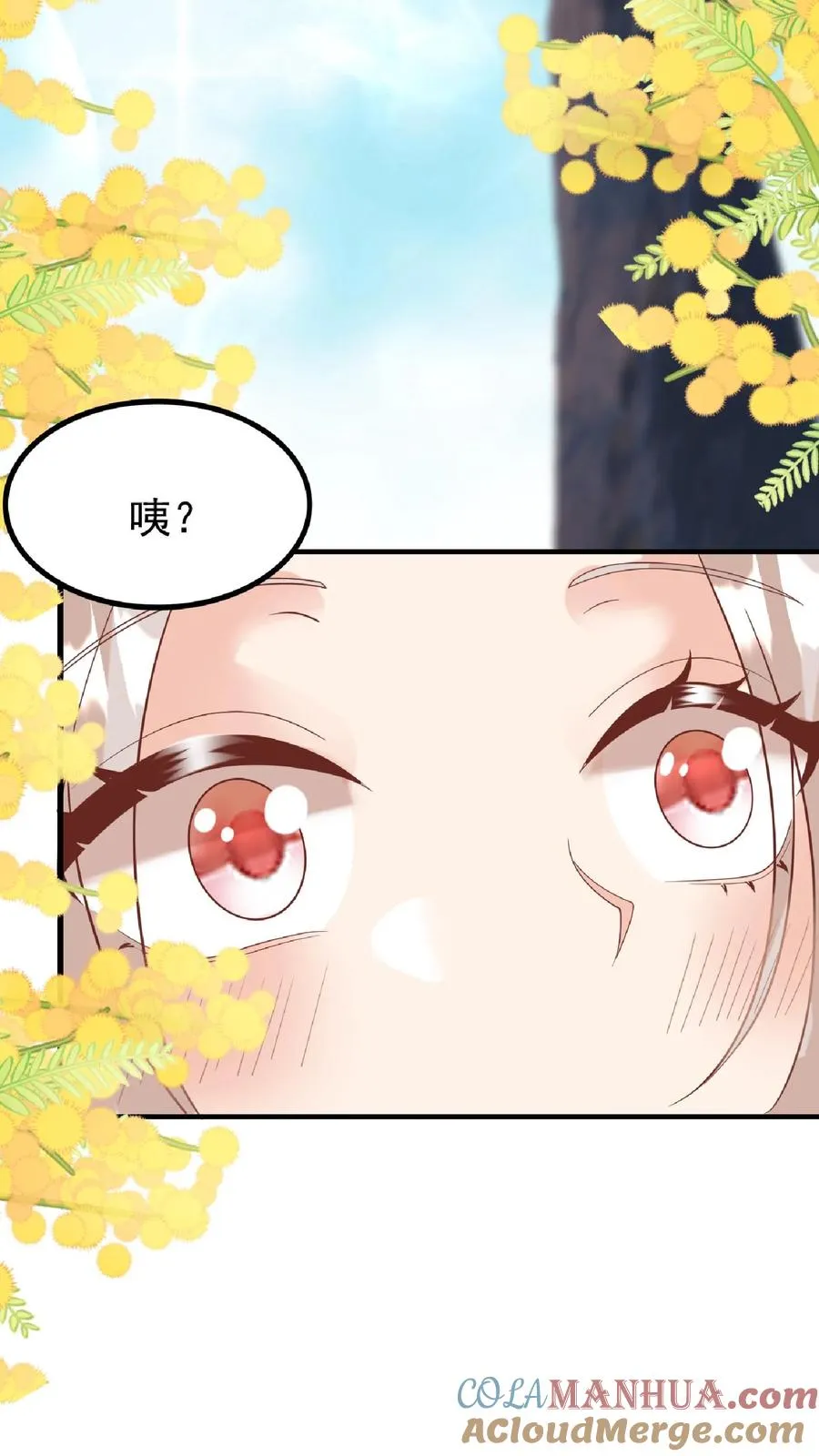 第165话 诡异的梧桐树 第17页