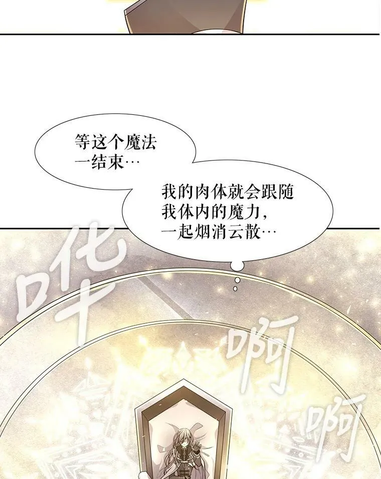 1.重生的大魔法师 第74页