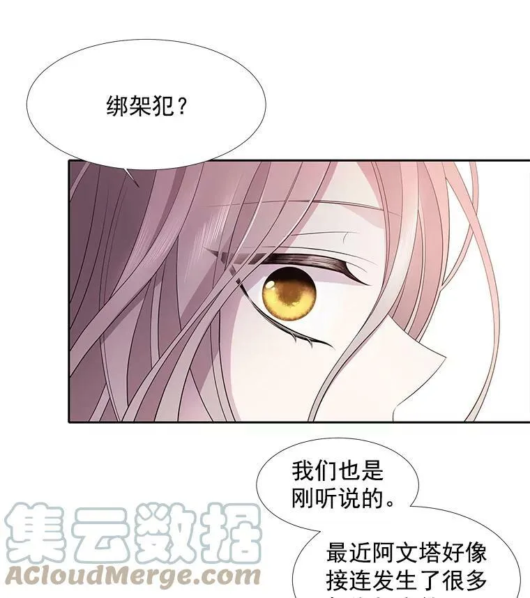 6.奇怪的绑架案 第21页