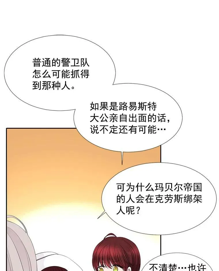 6.奇怪的绑架案 第27页