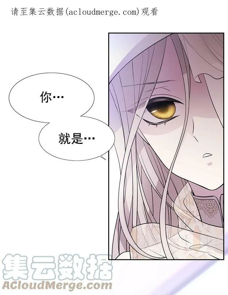 8.神秘的跟踪者 第97页
