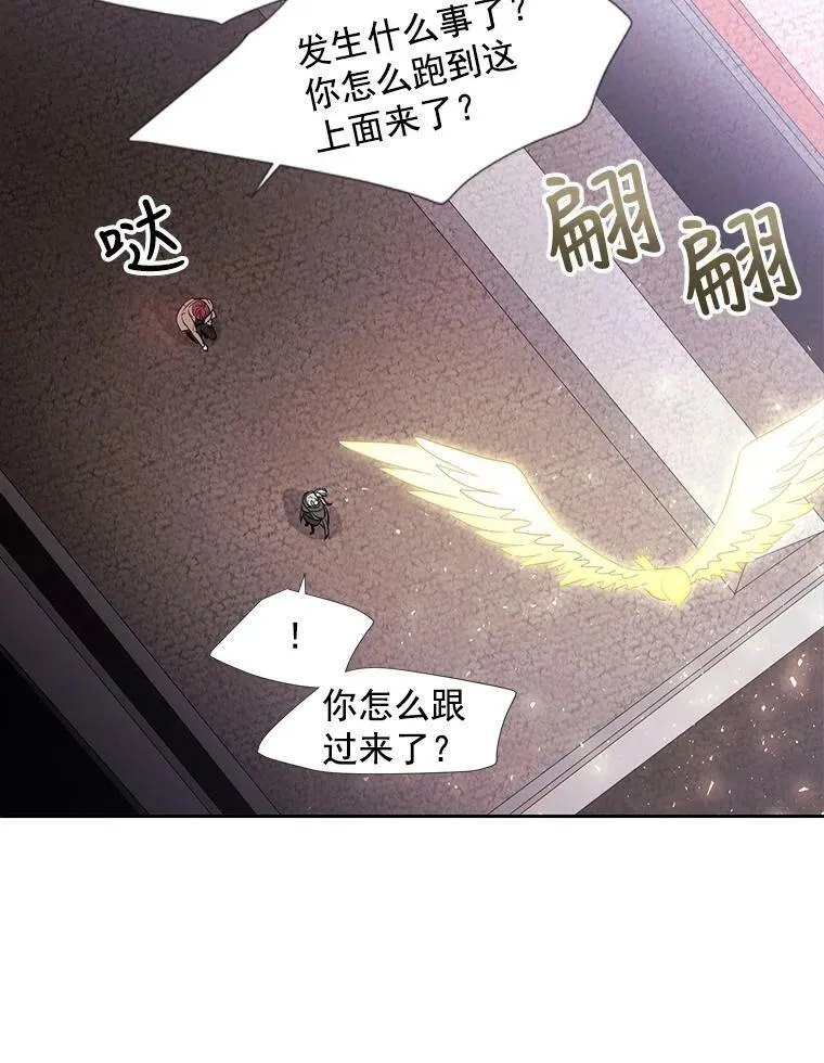 15.双方较量 第42页