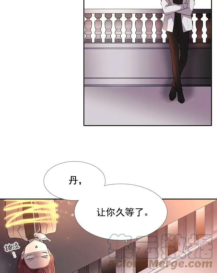 19.出使玛贝尔 第46页