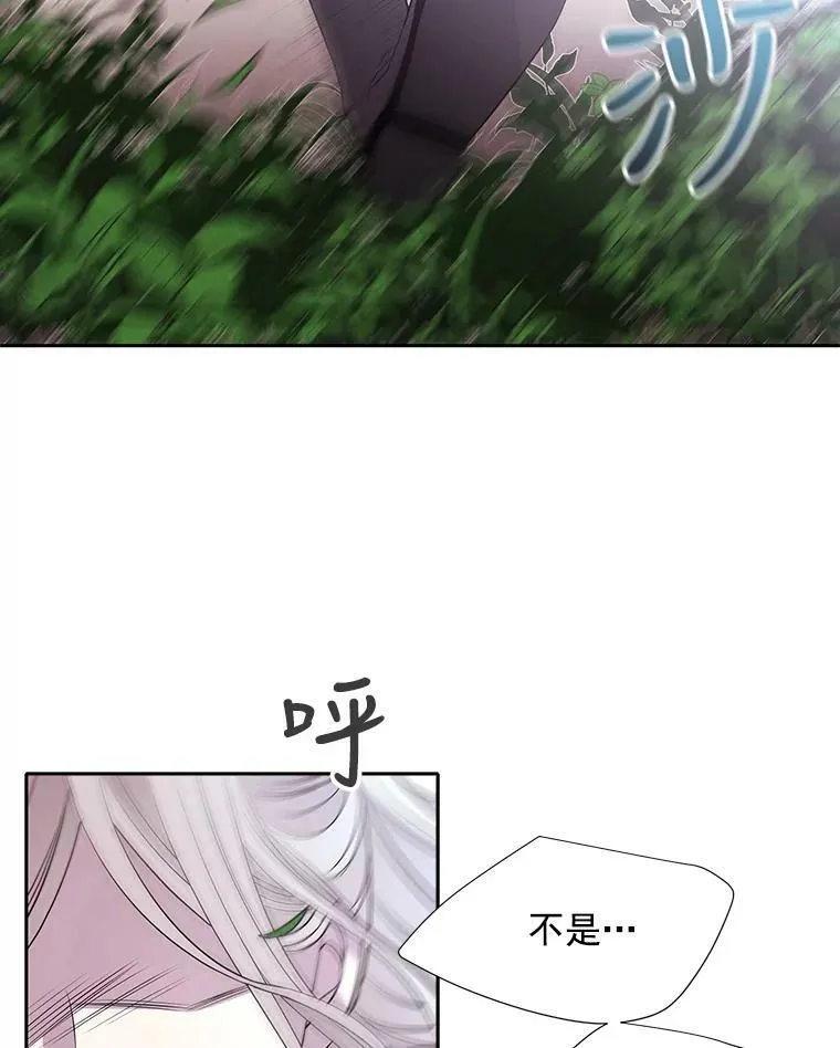 22.超豪华阵容 第39页