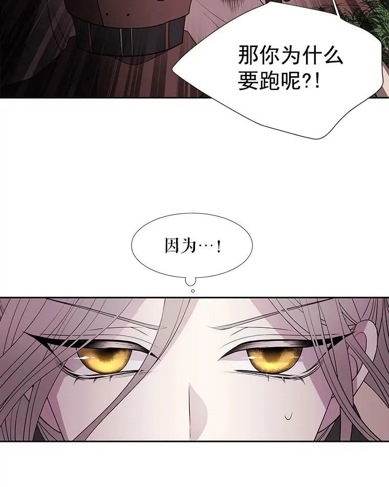 22.超豪华阵容 第42页