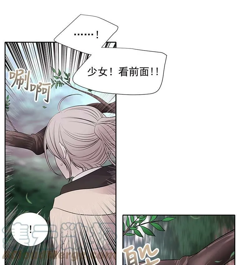22.超豪华阵容 第49页