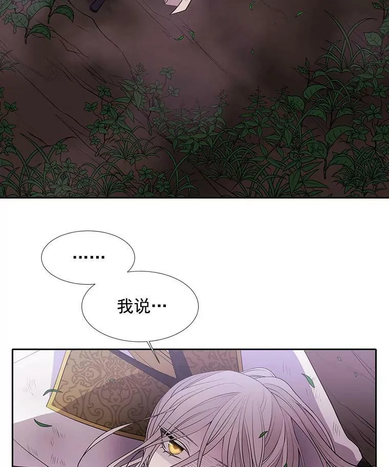 22.超豪华阵容 第59页