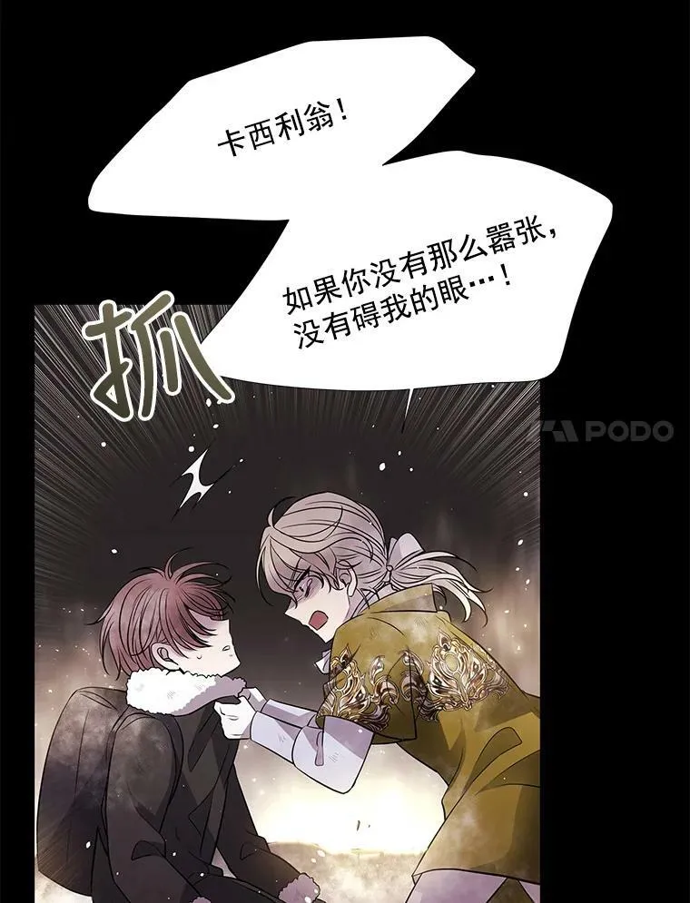 27.少年卡西利翁 第11页