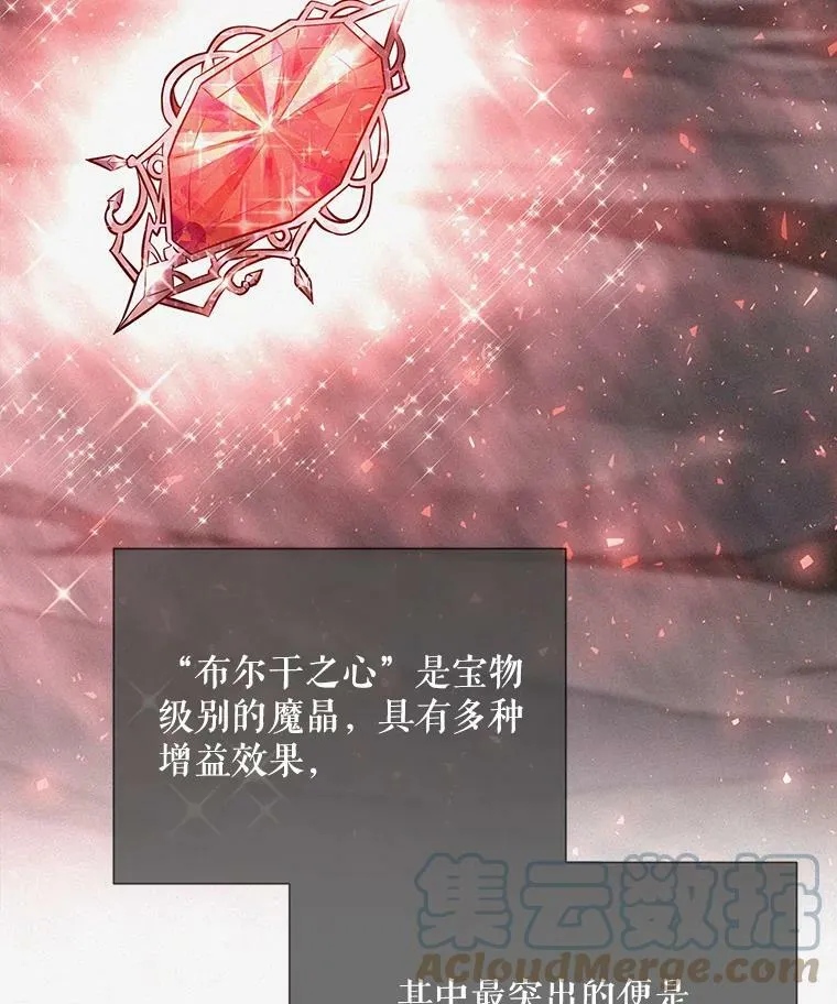 33.布尔干之心 第31页
