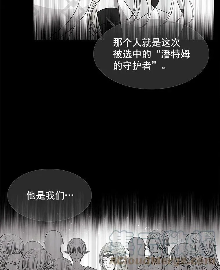 47.潘特姆森林的守护者 第7页