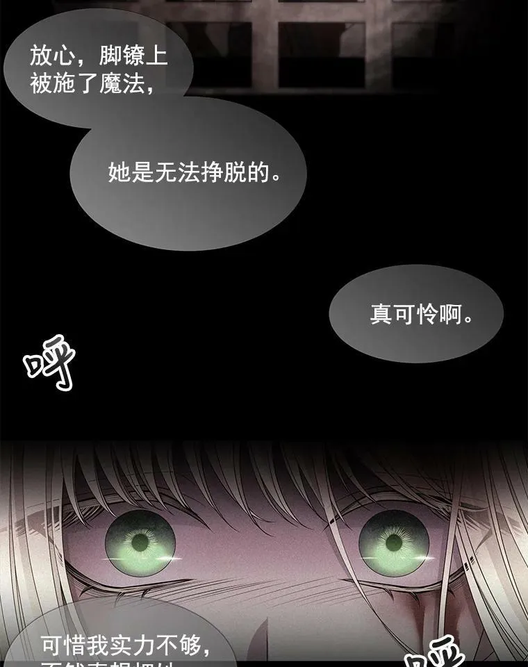 47.潘特姆森林的守护者 第11页