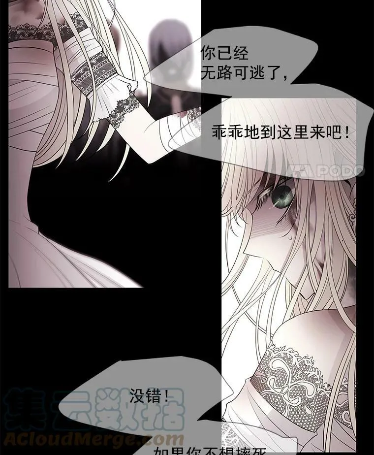 47.潘特姆森林的守护者 第22页