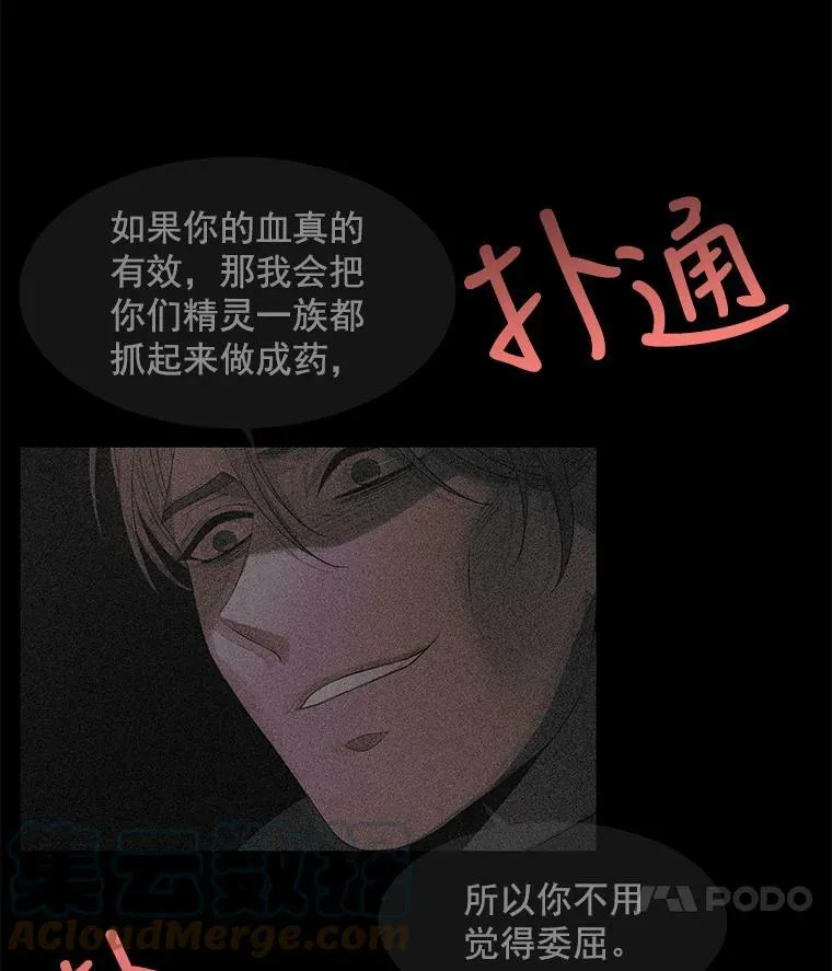 47.潘特姆森林的守护者 第25页