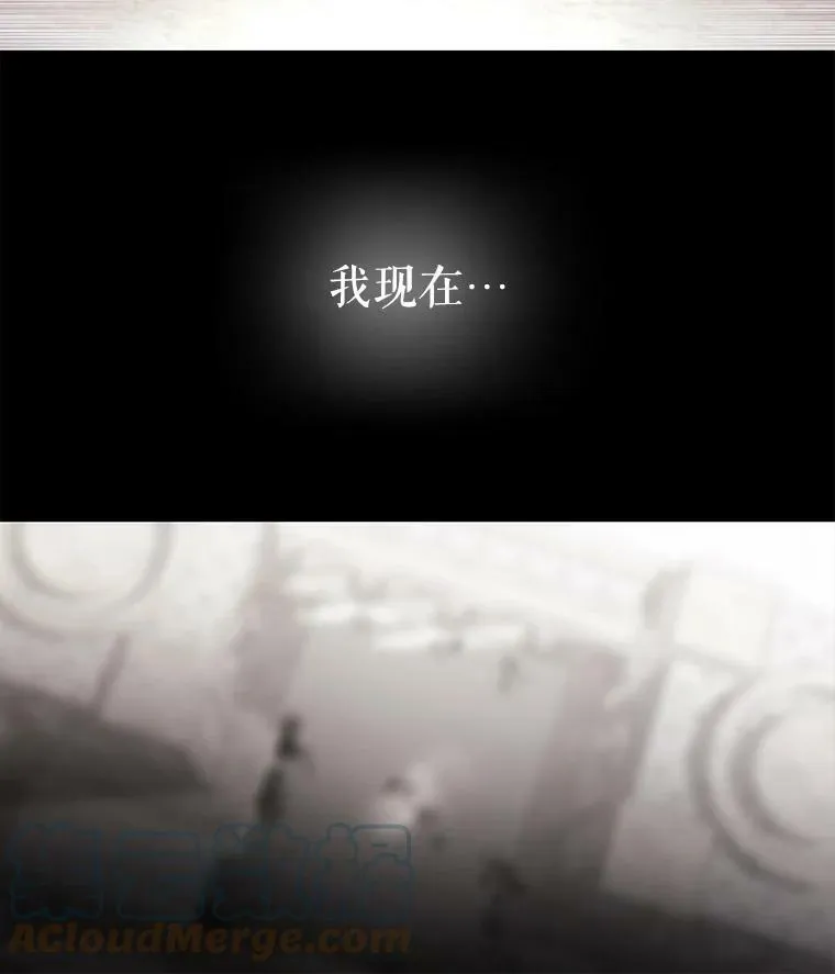 47.潘特姆森林的守护者 第28页