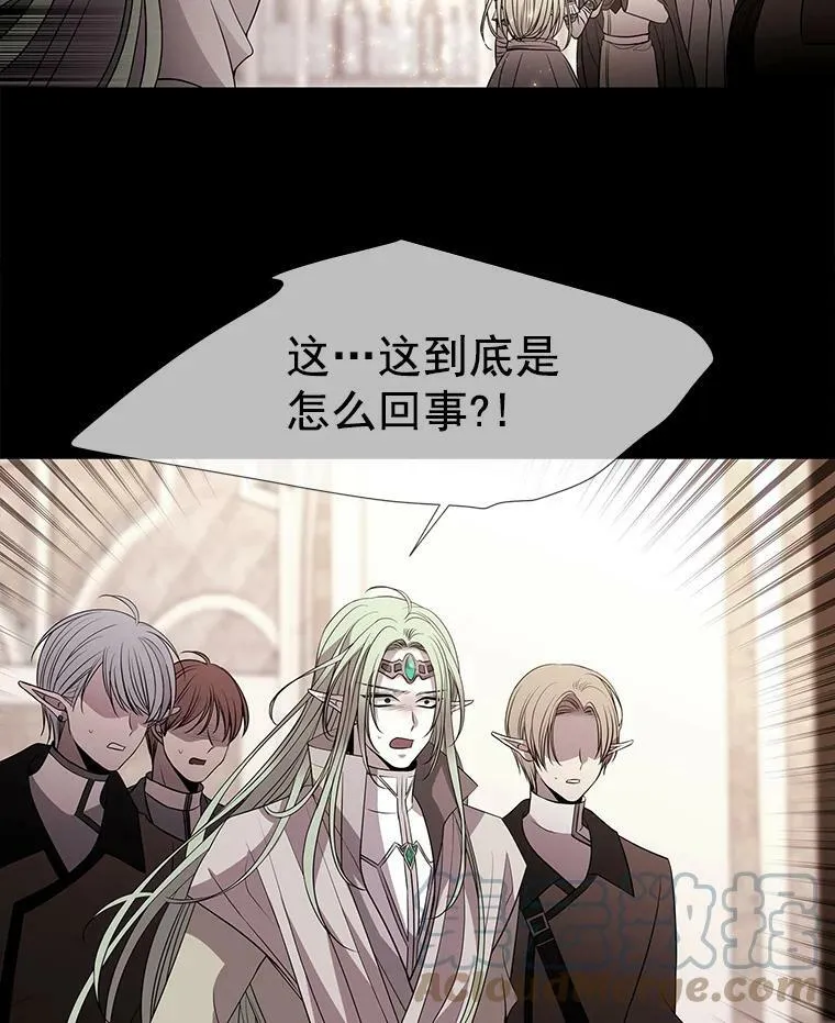 47.潘特姆森林的守护者 第49页