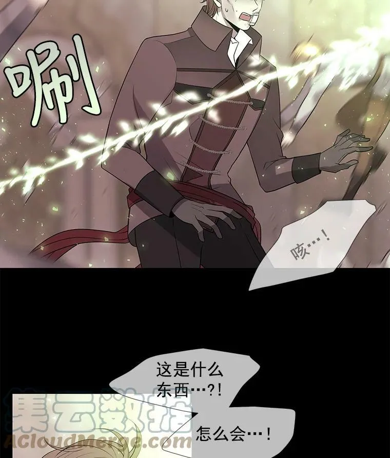 47.潘特姆森林的守护者 第79页