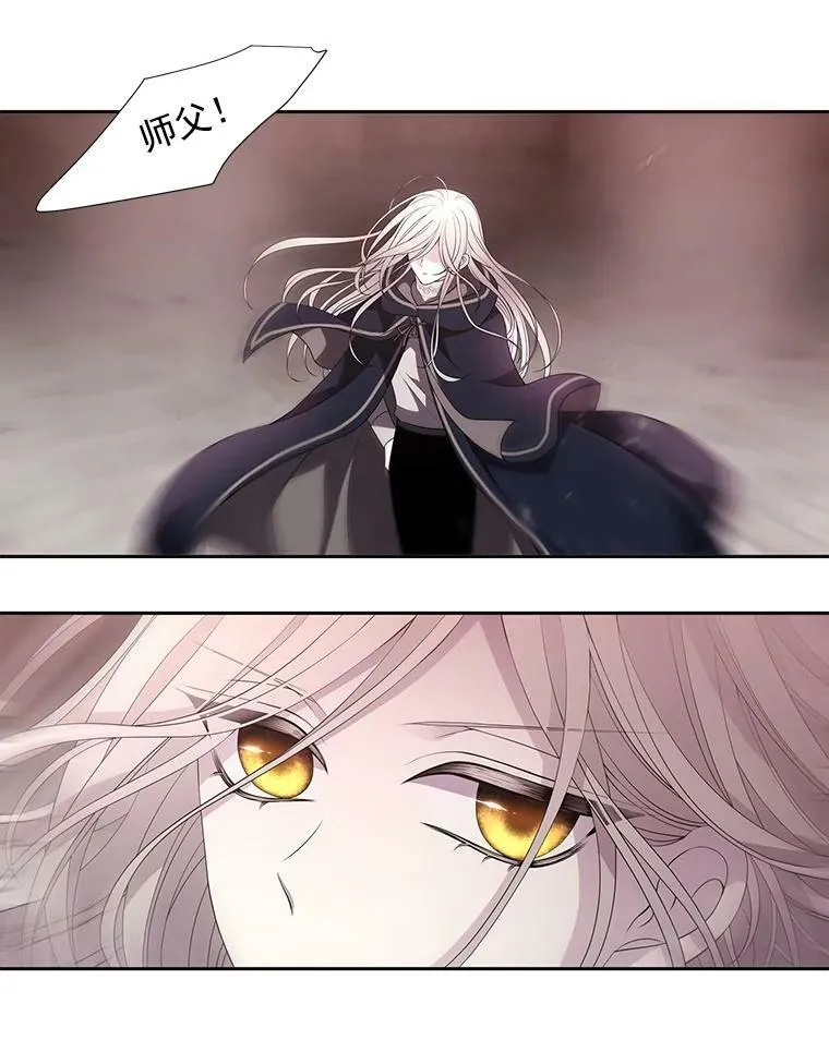 49.不明魔兽 第11页