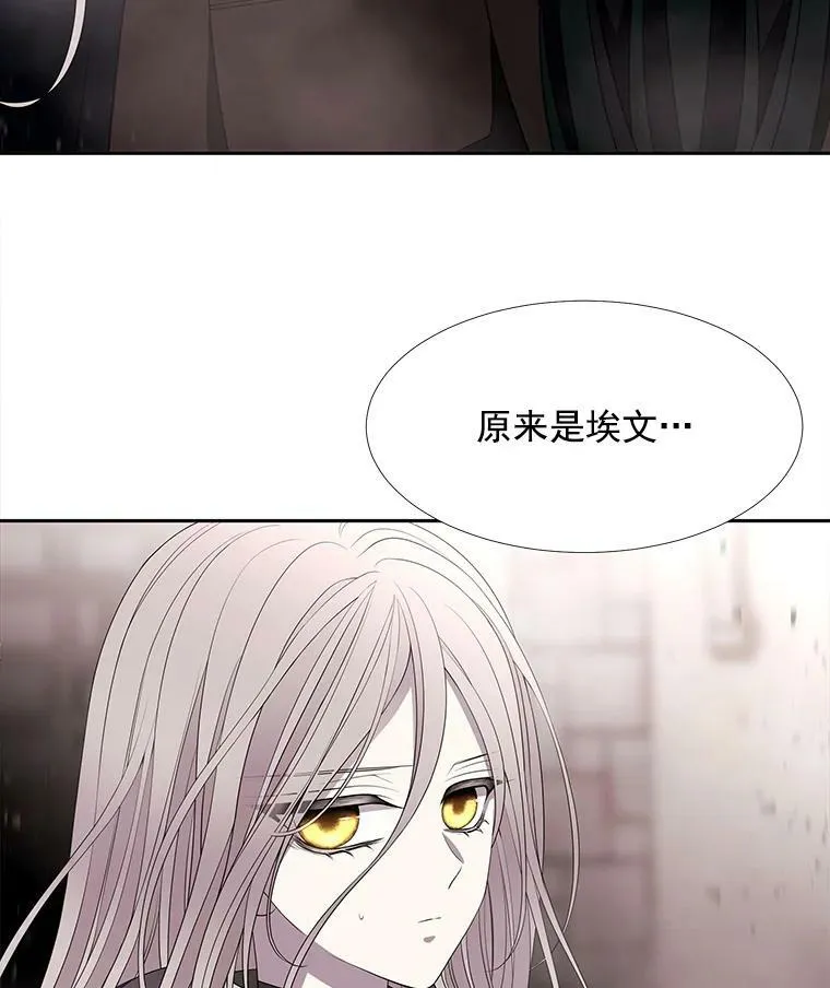 49.不明魔兽 第30页