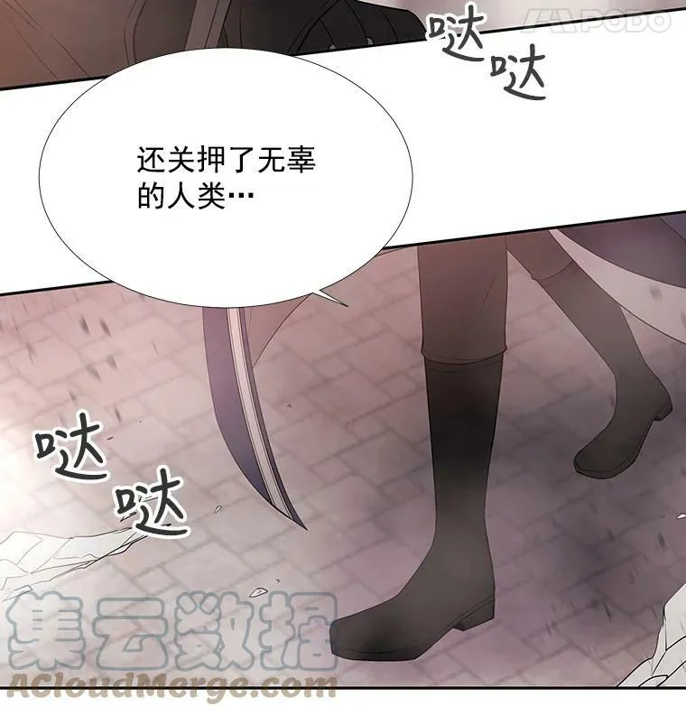 49.不明魔兽 第55页
