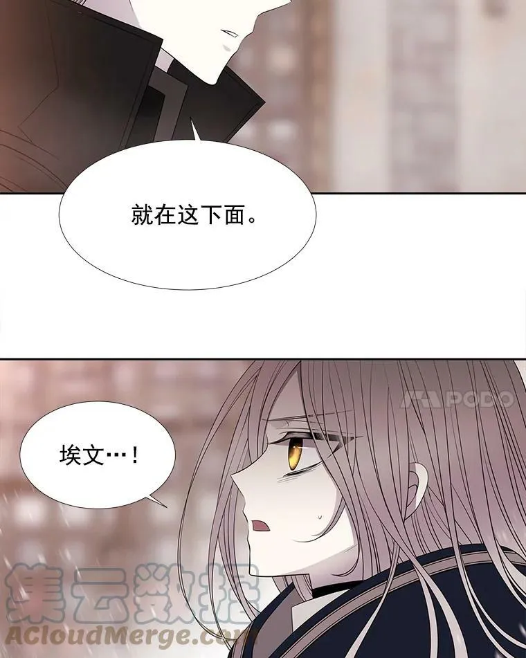 49.不明魔兽 第58页