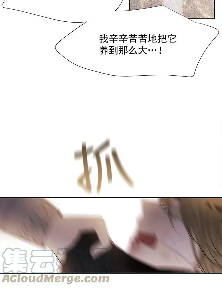 54.“那位大人” 第67页