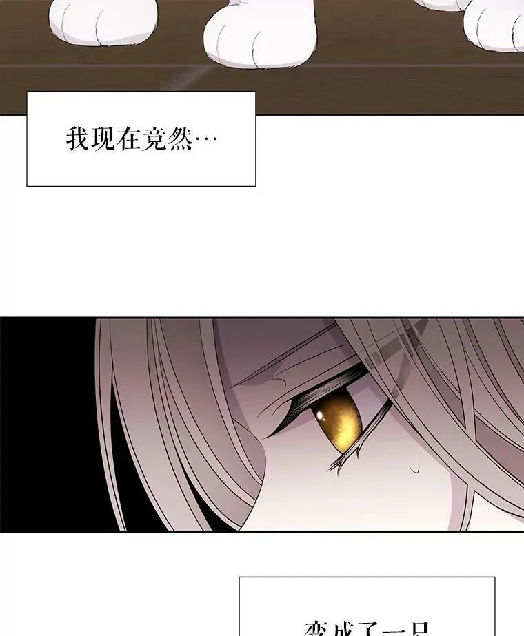 60.变身四脚兽 第47页