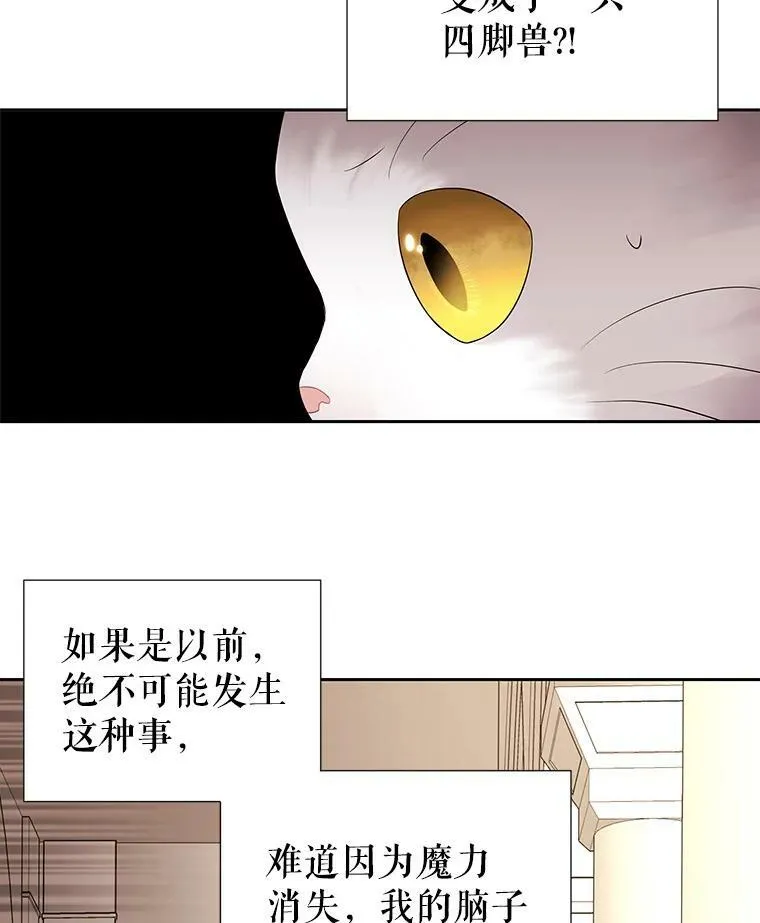 60.变身四脚兽 第48页