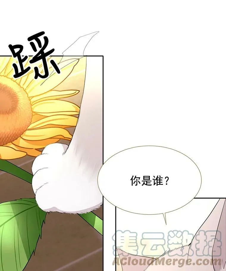 60.变身四脚兽 第52页