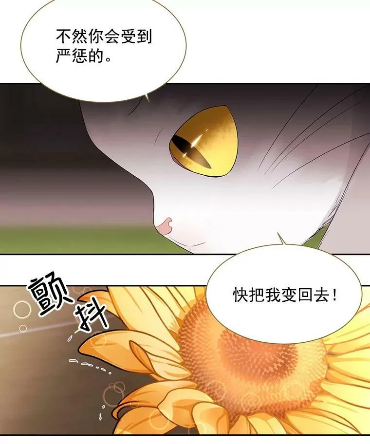 60.变身四脚兽 第54页