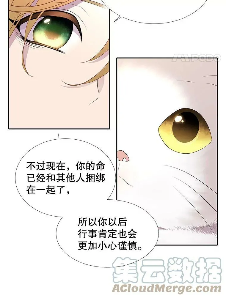 61.妖精之王的第二次祝福 第22页