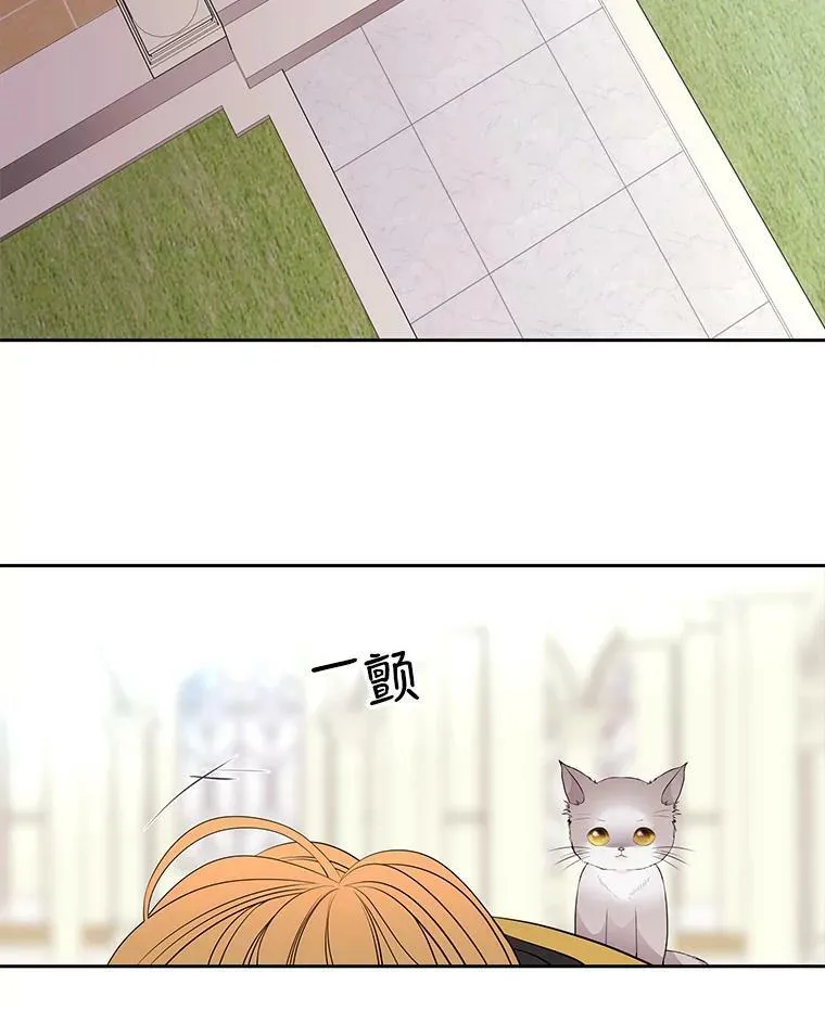 61.妖精之王的第二次祝福 第38页