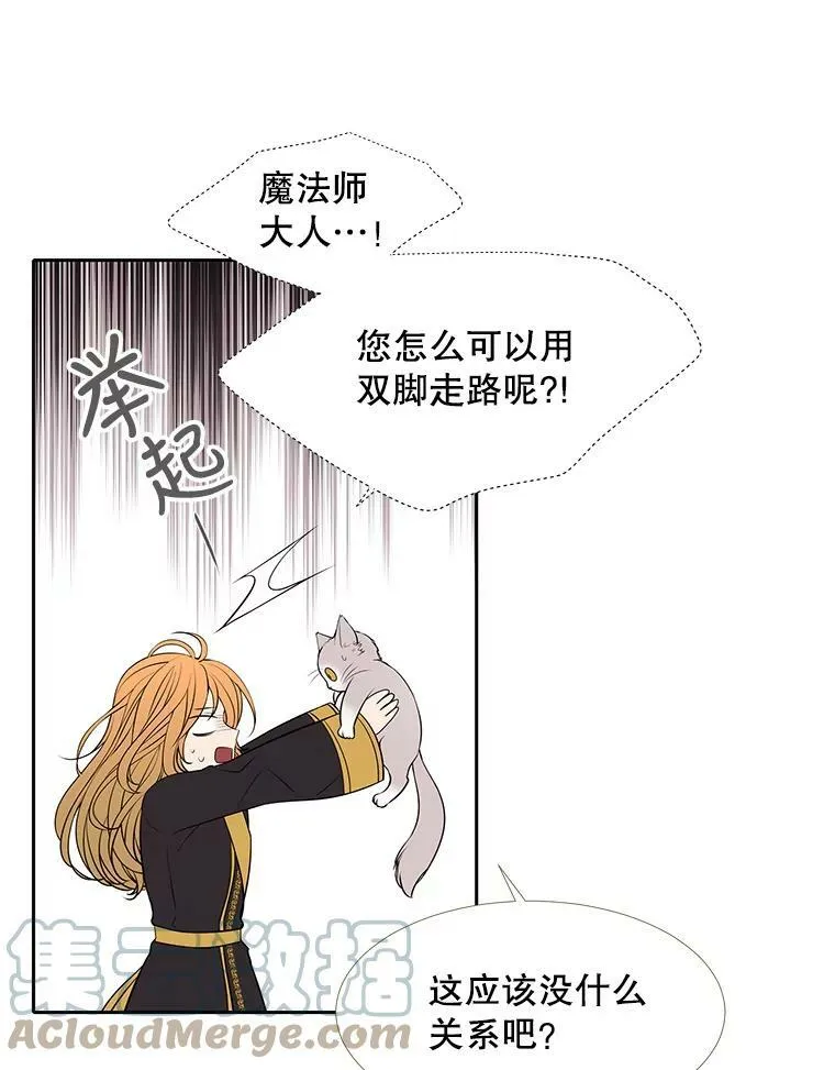 62.再见埃文 第10页