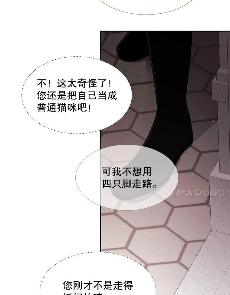 62.再见埃文 第11页