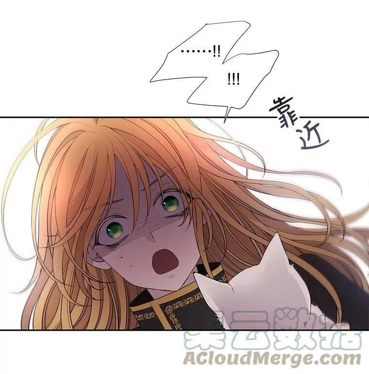 62.再见埃文 第16页