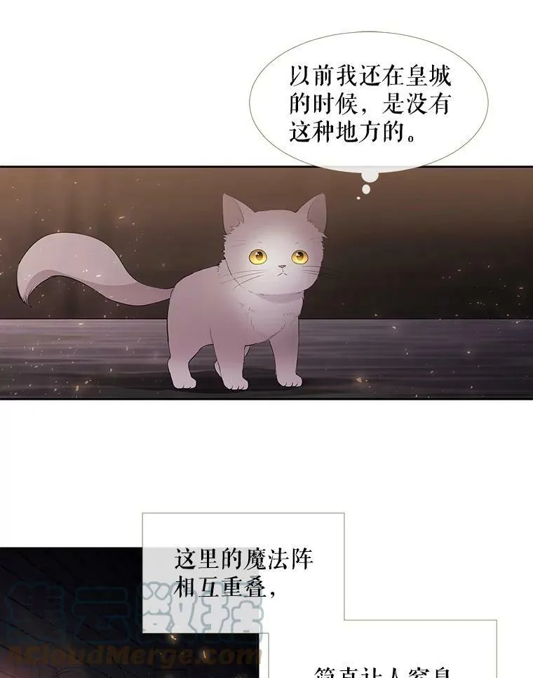 62.再见埃文 第55页
