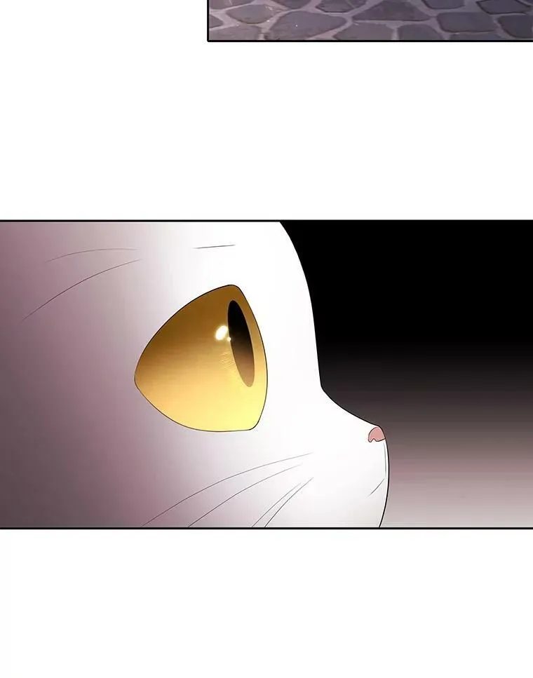 62.再见埃文 第60页