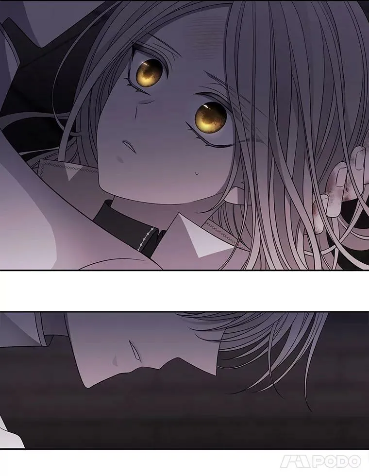 64.越狱 第15页