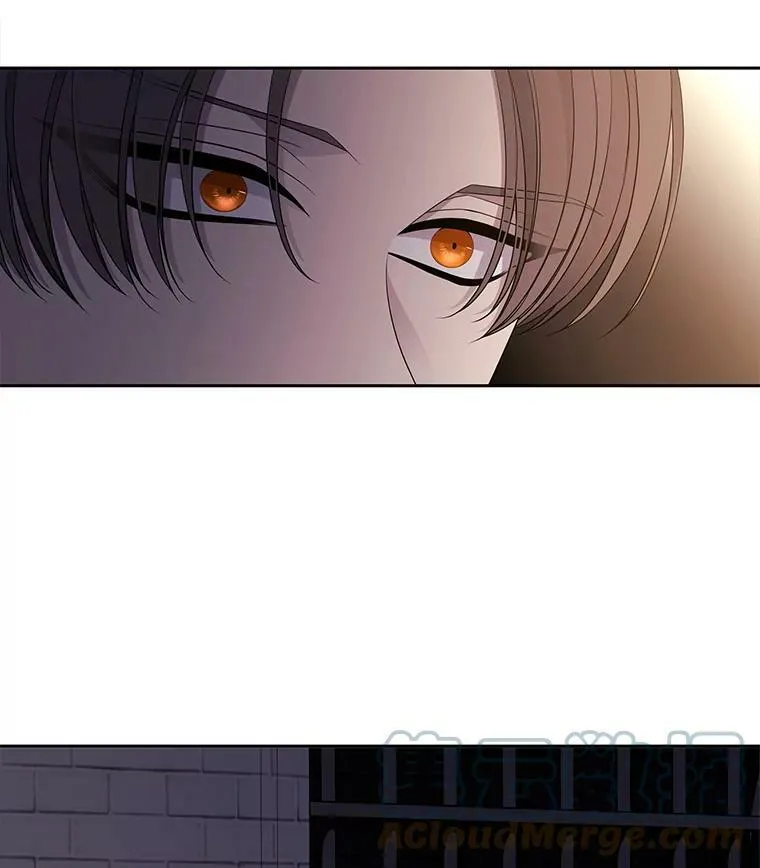 64.越狱 第25页